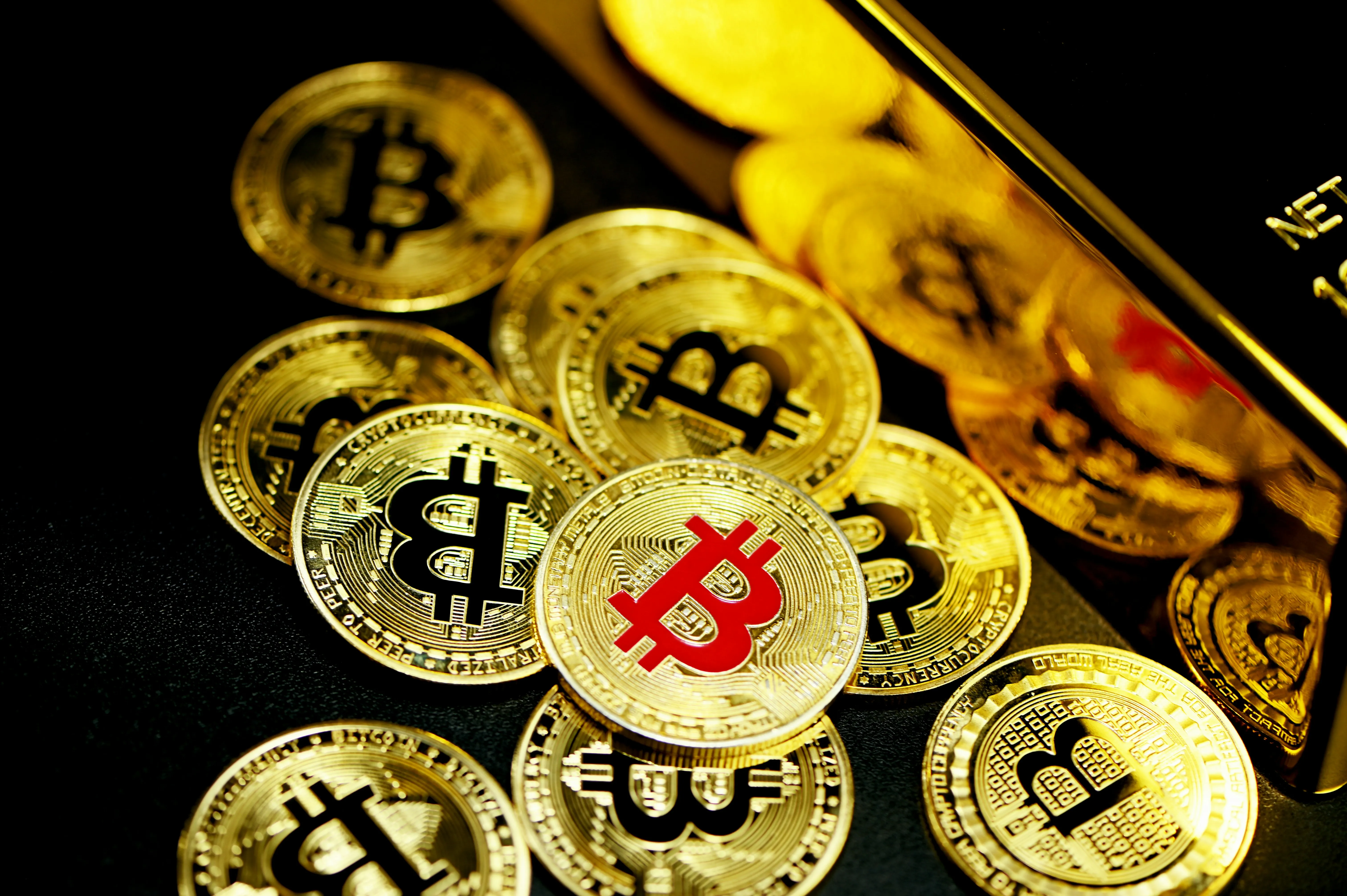 Hình ảnh nhóm người trao đổi kinh nghiệm, tìm hiểu thông tin từ chuyên gia đá gà Thomo